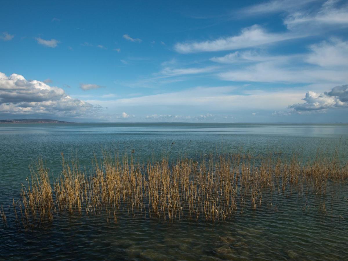 Pearl * Balatonboglar